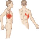 코뿔소마취통증의학과의원 이미지