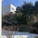 권안경 | w. 앤드류권 스튜디오 셀렉 후기 - 소요시간 및 추가금 정보