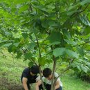 옹달샘농장 이미지