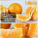후기좋은 오렌지 9kg에 15940원 -＞14500원 이미지