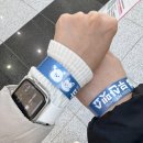 모두의 집사 | 2025 부산펫쇼 고양이 집사의 박람회 생생후기