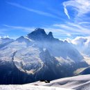 식복농장 Daum카페