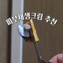 탱탱피부사랑 | 피부재생크림 추천 비반콴트망카로션 내돈내산 후기