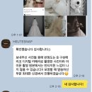 호이테 | 호이테 아이폰 스냅 계약 후기
