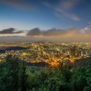 우면산6-1-6 이미지