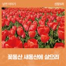 신장1리 이미지