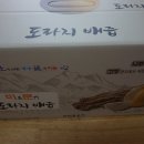 아리엘미문