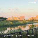 아지의스낵 | [25.06.4주]난 집순이야