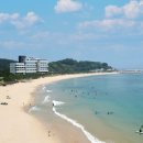 브리드 바이 마티에 이미지