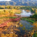 황강생태공원1 이미지