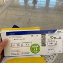 베트남 나트랑 태교여행 / 에어부산 후기 (임산부 등록, 좌석지정)