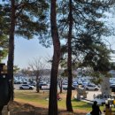 카페9977 이미지