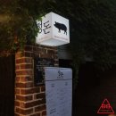 비비필라앤피티 이미지