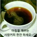신초 이미지