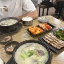 기린농장 | 3박5일 대만족 여행 후기(비엣젯항공, 럭셔리스파모닝...세일링클럽 풀빌라, 크레이지호핑, 진주농장)