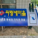파랑새인테리어 이미지