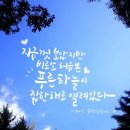 비로소겨울하늘 이미지