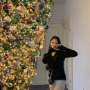 동일가든 | 가든잇 크리스마스 트리 대여 렌탈 내돈내산 솔직후기