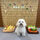 아이멍그라운드 이미지