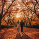 곰개나루 | 익산 곰개나무숲 단풍길, 인생샷 명소 솔직 후기