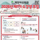 다이어트벨리댄스(야간) 이미지