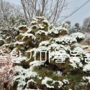 솔향기마을 이미지