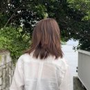 군산 헤어에비뉴 | (내돈내산)중단발 레이어드컷 히피펌 젤리펌 웬디펌 웬디히피펌 후기