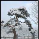 대율초등학교 이미지