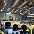 신명태권도 이미지