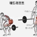 마린짐운동센터 이미지