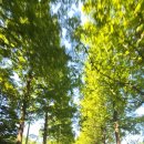 송광사 관광안내소 이미지