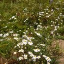 박재도농장 이미지