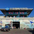 11번회센타 | 경주 감포 수협활어직판장 횟집 회포장 부부수산 추천 초장집 이용후기