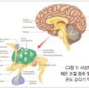 인체의 전자동 냉난방 시스템：체온 조절 이미지