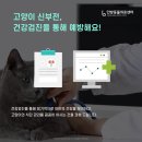 인방동물의료센터 이미지