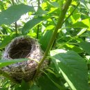 둥지농장 이미지