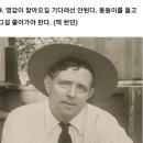 도트네일 네이버블로그