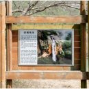 휘목 민박 네이버블로그