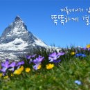 결혼정보커플 네이버블로그