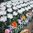 일도2동 영락교회 앞 | 남천장례식장 비용과 주차 가는길 기독교 장례식 절차까지 한눈에