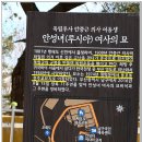 부산평화시장 이미지