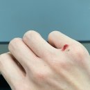 히트앤핏 을지로 이미지