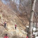 무릉도원면-28 이미지