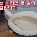 우리 집 고양이 삐지면 문 걸어 잠급니다 이미지