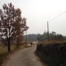 용흥사진입로 이미지