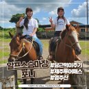 알프스승마장포니 제주투어패스 당근주기 체험까지 아쉬웠던 솔직후기