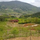 수만리 생태숲공원 이미지