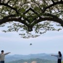 산성막국수 이미지