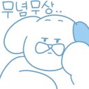 원모어백 이미지
