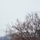 계절여행 이미지